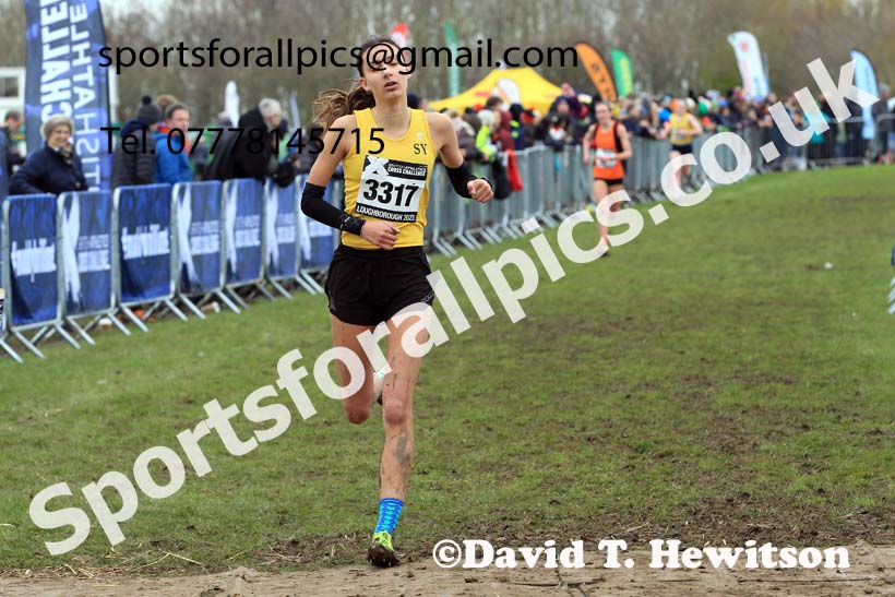 Womens Under-20s 2023 UK CAU Inter Counties Cross Country Champs, Prestwold Hall, Loughborough. Photo: David T. Hewitson/Sports for All Pics